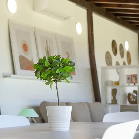 Lägenhet Moderno Loft Recien Reformado En Santa Cruz De Tenerife